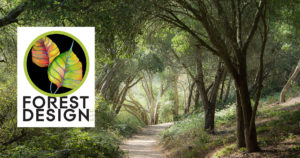 Forest Design LLC